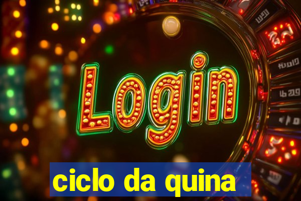 ciclo da quina